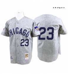 Mens Mitchell and Ness Chicago Cubs 23 Ryne Sandberg Authentic Grey 1969 Throwback MLB Jersey